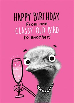 Happy Birthday From One Classy Old Bird To Another! Send this Pink Wink card to a mate on her birthday before raising a glass together.