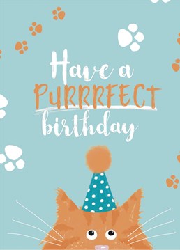 Send cat inspired birthday wishes with thei purrrfect card