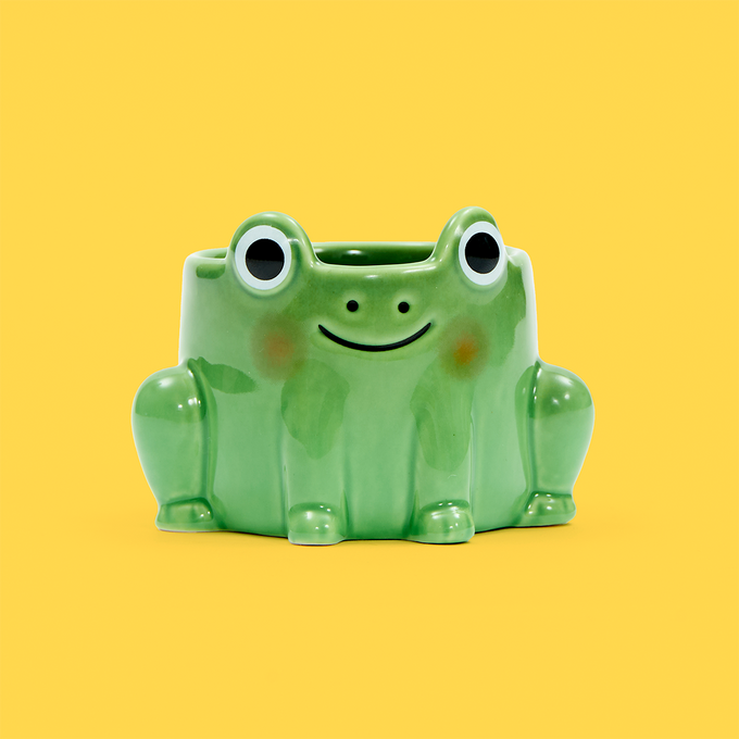 Mini Frog Planter