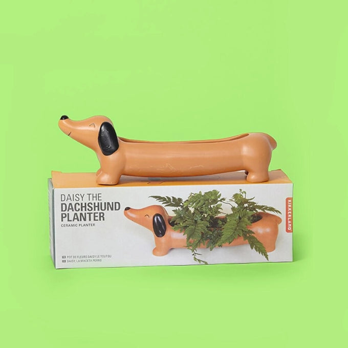 Daisy The Dachshund Planter